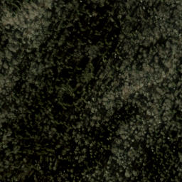 Satellite imagery of Woody Ridge, US