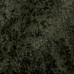 Satellite imagery of Big Fork Ridge, US