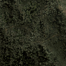 Satellite imagery of Big Fork Ridge, US