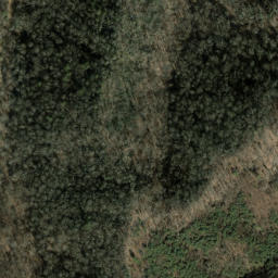 Satellite imagery of Piney Ridge, US