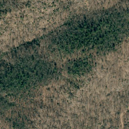 Satellite imagery of Ball Alley, US