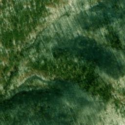 Satellite imagery of Nelson Ridge, US