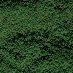 Satellite imagery of Sawmill Ridge, US