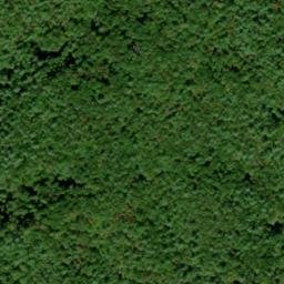 Satellite imagery of Boring Ridge, US