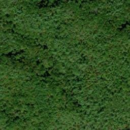 Satellite imagery of John P Cable Mill, US
