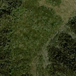 Satellite imagery of Silers Lead, US