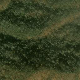 Satellite imagery of Beetree Ridge, US