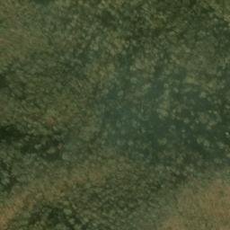 Satellite imagery of Beetree Ridge, US