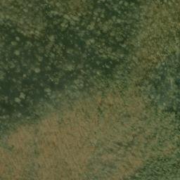 Satellite imagery of Beetree Ridge, US