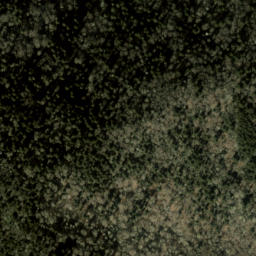 Satellite imagery of Big Fork Ridge, US
