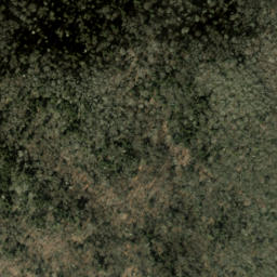 Satellite imagery of Big Fork Ridge, US