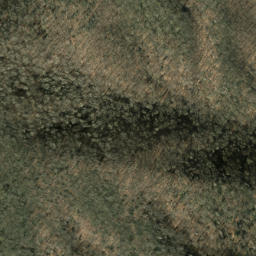 Satellite imagery of Big Spruce Ridge, US
