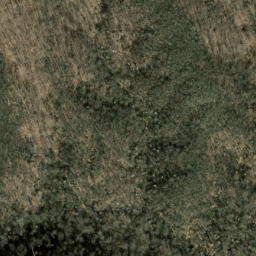 Satellite imagery of Big Ridge, US