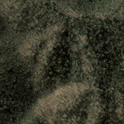 Satellite imagery of McClue Ridge, US