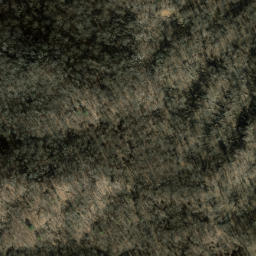 Satellite imagery of Piney Ridge, US