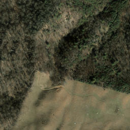 Satellite imagery of Piney Ridge, US