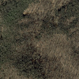 Satellite imagery of Turkey Ridge, US