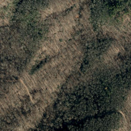 Satellite imagery of Bailey Ridge, US