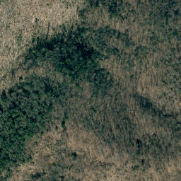 Satellite imagery of Richland Mountain Ridge, US