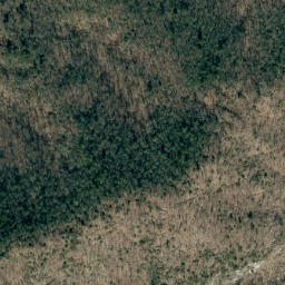 Satellite imagery of Richland Mountain Ridge, US