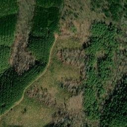 Satellite imagery of Goodmans Prong Prospect Number One, US