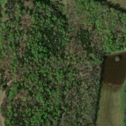 Satellite imagery of Powell Bluff, US