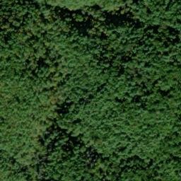 Satellite imagery of Peckerwood Ridge, US