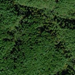 Satellite imagery of Peckerwood Ridge, US