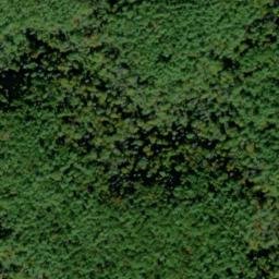 Satellite imagery of Peckerwood Ridge, US