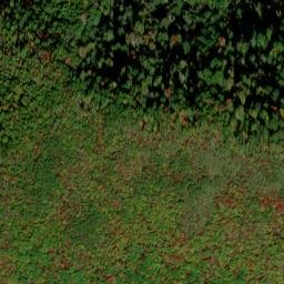 Satellite imagery of Cobb Ridge, US