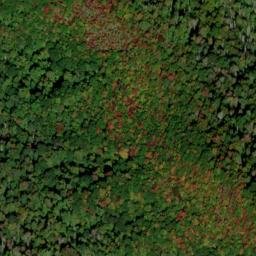 Satellite imagery of Anthony Ridge, US
