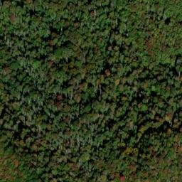 Satellite imagery of Anthony Ridge, US