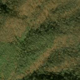 Satellite imagery of Beetree Ridge, US