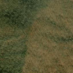 Satellite imagery of Beetree Ridge, US