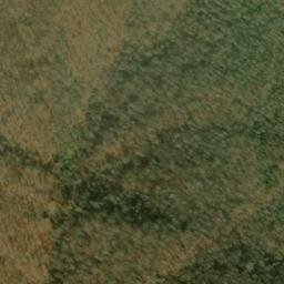 Satellite imagery of Beetree Ridge, US