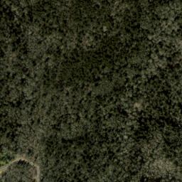 Satellite imagery of Big Fork Ridge, US