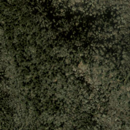 Satellite imagery of Big Fork Ridge, US