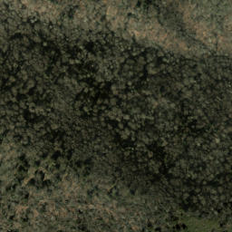 Satellite imagery of Big Fork Ridge, US