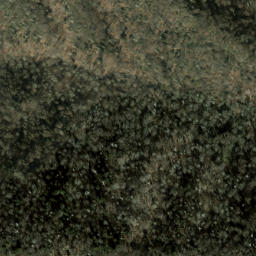 Satellite imagery of Big Spruce Ridge, US