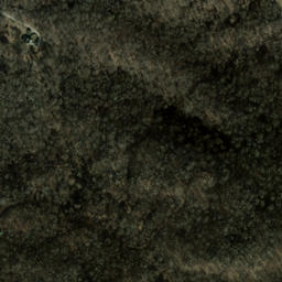 Satellite imagery of Piney Ridge, US