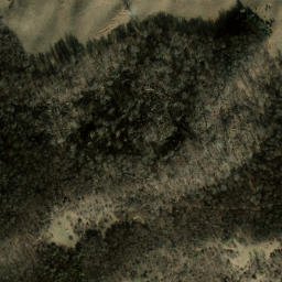 Satellite imagery of Piney Ridge, US