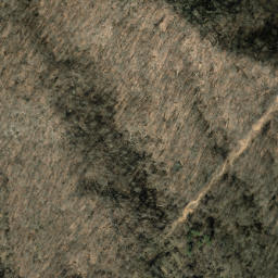 Satellite imagery of Sassafras Ridge, US