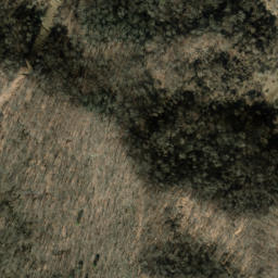 Satellite imagery of Sassafras Ridge, US