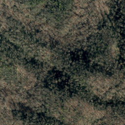 Satellite imagery of Bailey Ridge, US