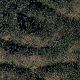 Satellite imagery of Bailey Ridge, US