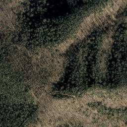 Satellite imagery of Bailey Ridge, US