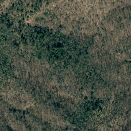 Satellite imagery of Richland Mountain Ridge, US