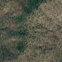 Satellite imagery of Richland Mountain Ridge, US