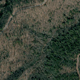 Satellite imagery of Gilead Ridge, US