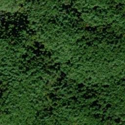 Satellite imagery of Peckerwood Ridge, US